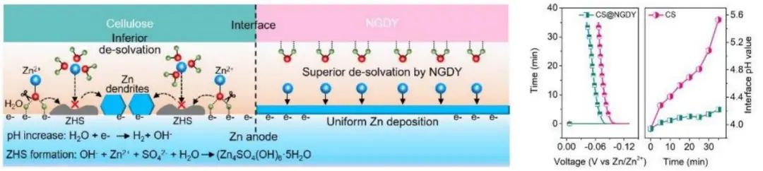 支春義/李玉良/邱介山Angew：穩(wěn)定界面pH，對稱Zn電池壽命提高116倍！