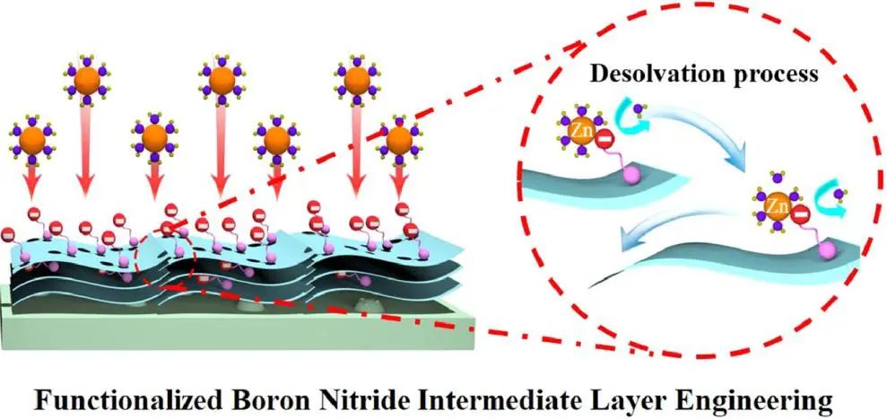 江南大學(xué)付少海/賈浩EnSM：功能化氮化硼中間層實(shí)現(xiàn)穩(wěn)定均勻的Zn沉積