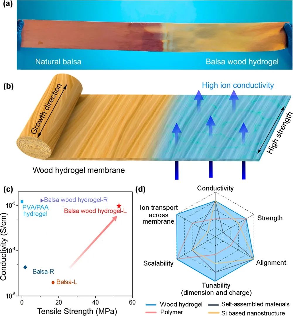 “木頭大王”最新成果：離子導(dǎo)電率提高2個數(shù)量級、強(qiáng)度3倍的木材水凝膠膜