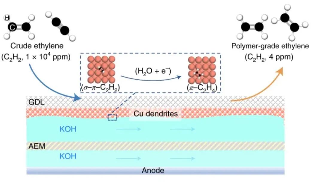 這個(gè)團(tuán)隊(duì)就是牛！7天連發(fā)Nature Catalysis、JACS、Angew.三篇頂刊