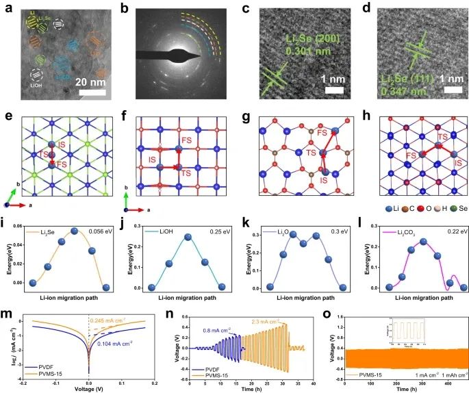 浙大陸盈盈，最新Nature子刊！