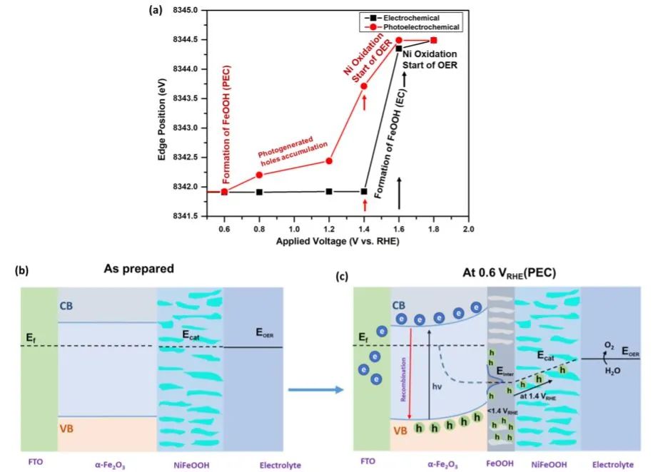 8篇催化頂刊集錦：JACS、AM、ACS Energy Lett.、Nano Lett.等最新成果