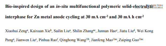 郭再萍/王慶紅/毛建峰EES：用于Zn負(fù)極循環(huán)的原位多功能聚合物SEI的仿生設(shè)計