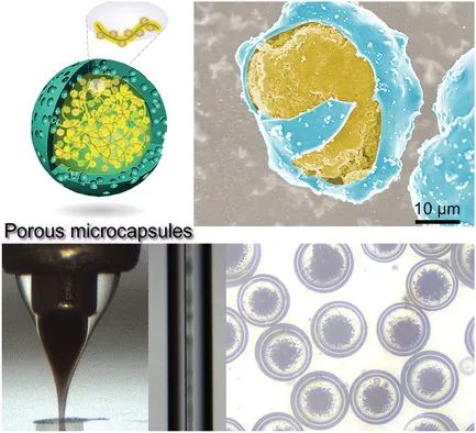 電池頂刊集錦：EES、EER、AEM、EEM、ACS Nano、Small等最新成果