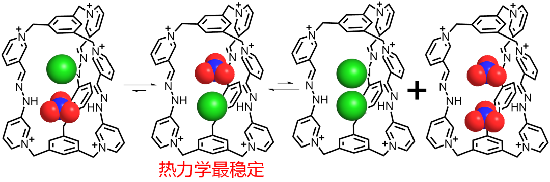 浙江大學李昊研究組JACS：兩個同種電荷的離子到底可以走得多近？