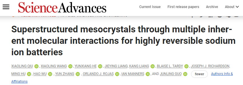 川大張?jiān)?郭俊凌/吳昊Sci. Adv.: 用于高度可逆鈉離子電池的多種固有分子相互作用的超結(jié)構(gòu)介晶