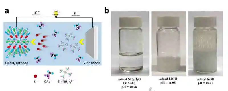 EnSM：弱堿性高壓水基Zn/LiCoO2混合電池