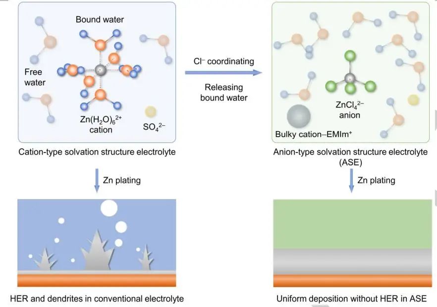 南開(kāi)陳軍院士Angew: 用于堅(jiān)固鋅金屬負(fù)極的陰離子型無(wú)水Zn2+溶劑化結(jié)構(gòu)設(shè)計(jì)