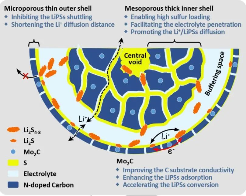 廈大徐俊Angew: 好看中用！Mo2C/C分層雙殼空心球作為硫主體用于先進(jìn)的鋰硫電池