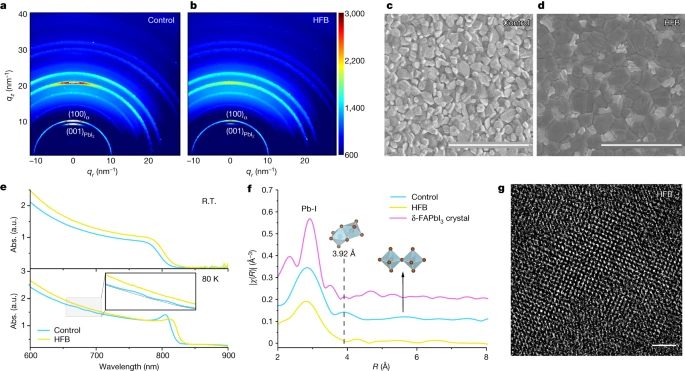 北京大學(xué)周歡萍，最新Nature！