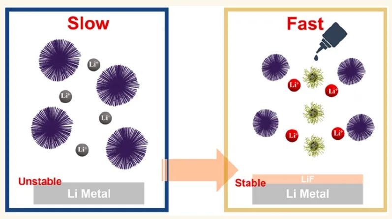 ?中南紀(jì)效波ACS Nano：定制Li+動力學(xué)和界面氟化以獲得穩(wěn)定的固體鋰電池