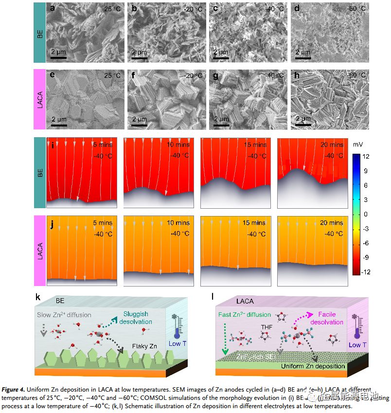 【DFT+實(shí)驗(yàn)】Angew：低溫鋅金屬電池的局部陰陽離子聚集加速水電解質(zhì)—Jian Yang