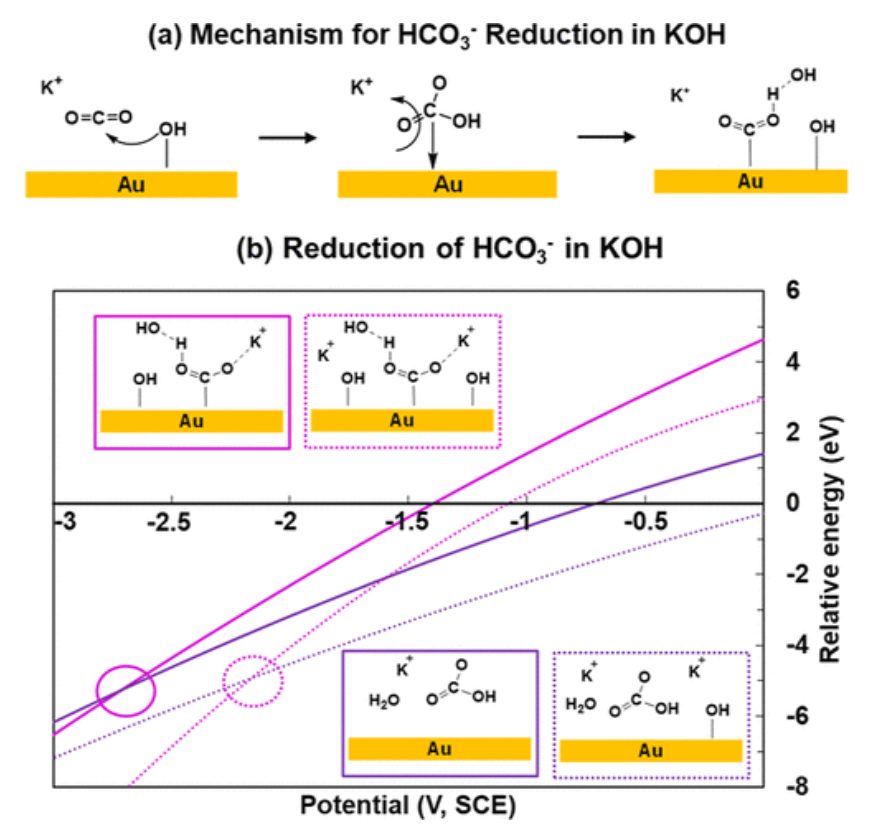 ACS Catalysis：KOH濃度的影響和OH–在CO2電催化還原中的作用