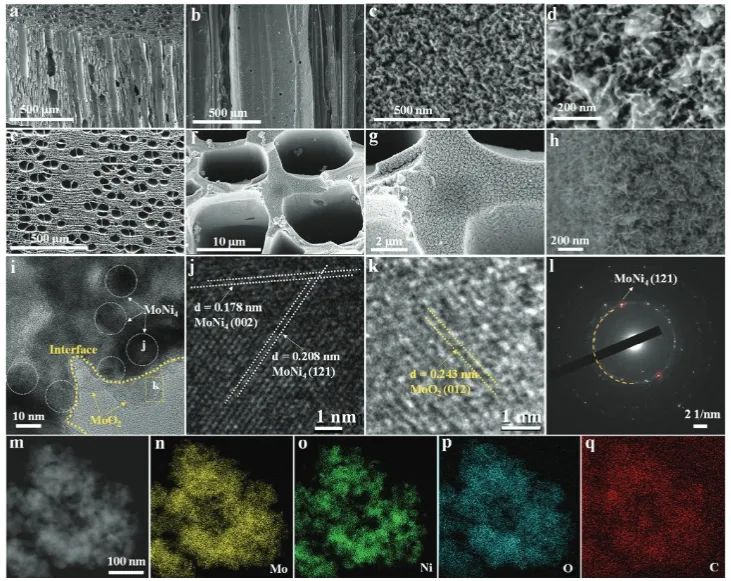 ?華南理工大學(xué)AFM：多孔炭化木材上構(gòu)建MoNi4/MoO2納米片，用于高效催化水分解產(chǎn)氫