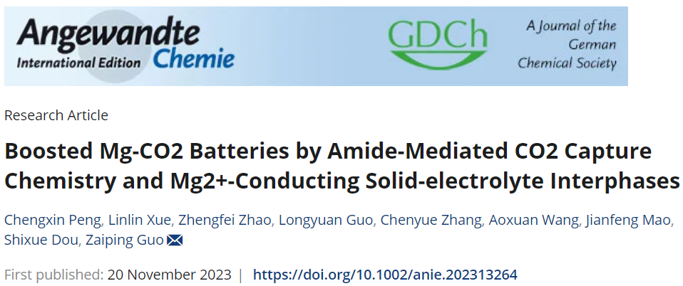 郭再萍/王澳軒等，最新Angew！Mg-CO2電池新突破！