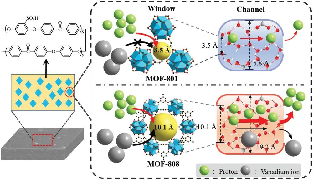 徐至/黃康A(chǔ)FM：Zr-MOF促進(jìn)液流電池膜的可控離子篩分和質(zhì)子電導(dǎo)率