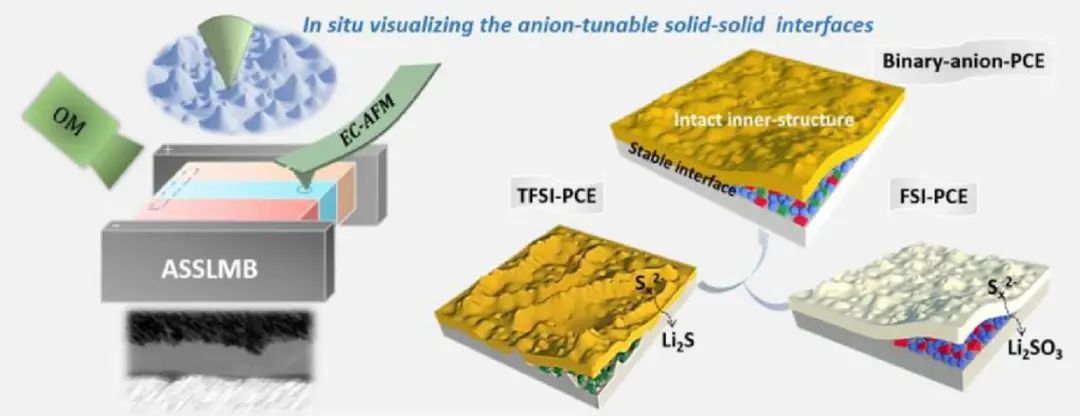 文銳EnSM: 全固態(tài)鋰硫電池陰離子可調(diào)界面穩(wěn)定性的演化過程和降解機制