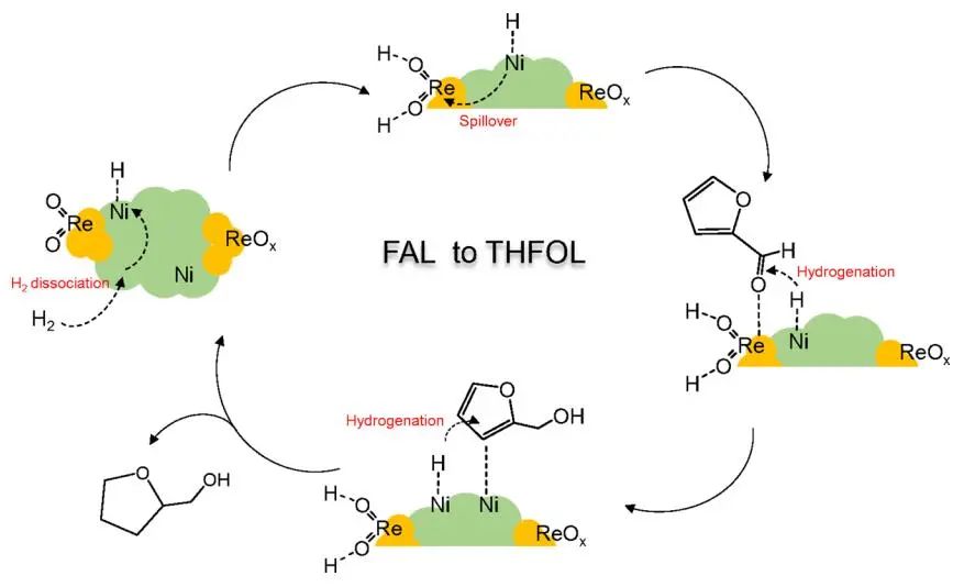 聶仁峰/張躍興ACS Catalysis：Ni-ReOx表面協(xié)同促進糠醛溫和加氫制四氫糠醇