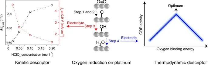 最新Nature Catalysis：電解質(zhì)對(duì)Pt(111)上ORR動(dòng)力學(xué)的影響