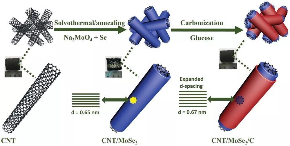 【鈉電】北京大學(xué)AEM：三維CNT/MoSe2/C異質(zhì)結(jié)構(gòu)高效儲(chǔ)鈉