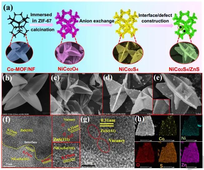 ????Angew.：金屬缺陷和表面化學(xué)重構(gòu)協(xié)同，助力NiCo2S4/ZnS異質(zhì)結(jié)優(yōu)異的電催化性能