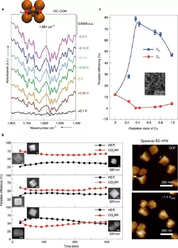 Nature Catalysis綜述：多碳產(chǎn)物向CO2RR-催化劑及電解質(zhì)設(shè)計(jì)策略