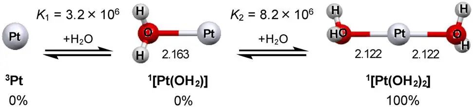 【純計算】Dalton T.：鉑亞納米團簇催化析氫反應機理的理論研究