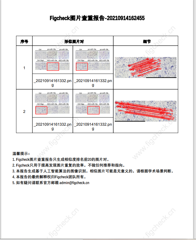 一鍵SCI圖片查重，還永久免費(fèi)！“論文工廠”沒活路了！