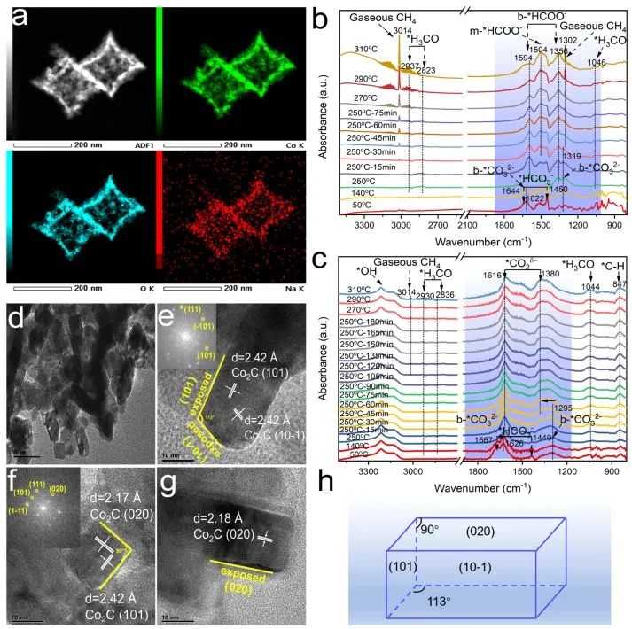 催化頂刊集錦：Angew./JACS/AFM/ACS Catal./Small等最新成果