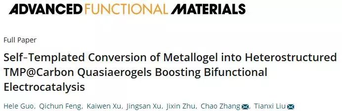 【催化】東華大學(xué)AFM：雙金屬凝膠自模板法轉(zhuǎn)化為異質(zhì)結(jié)構(gòu)的金屬磷化物電催化劑，促進(jìn)雙功能電催化