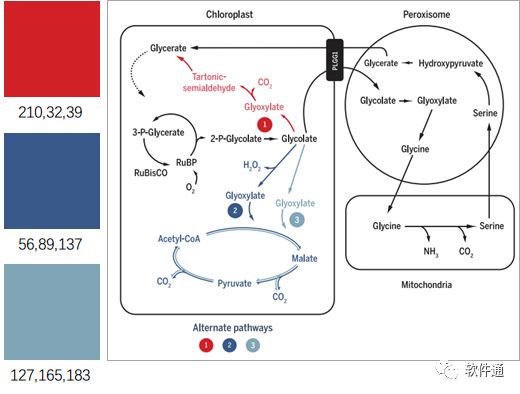 跟Science文章學(xué)繪圖，輕松搞定論文圖片配色？