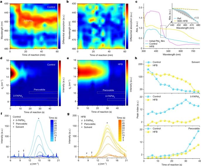 北京大學(xué)周歡萍，最新Nature！