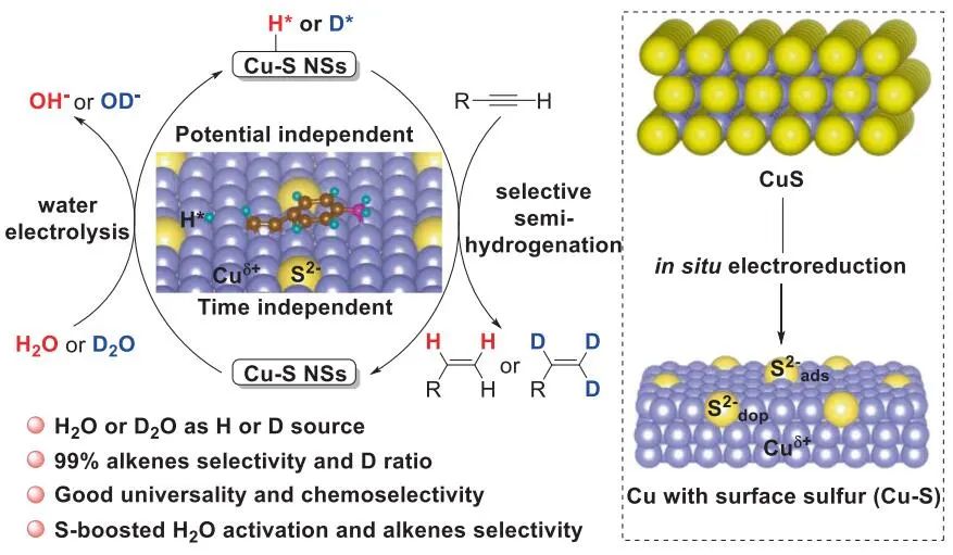 ?Nat. Commun.：選擇性＞99%！表層S將CuS轉(zhuǎn)化為Cu用于電催化炔烴半加氫