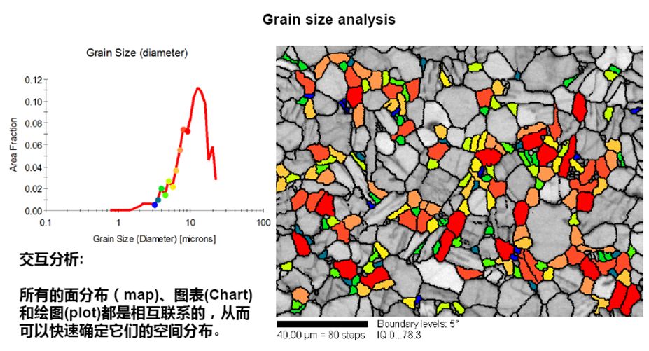 秒懂干貨丨EBSD的工作原理、結(jié)構(gòu)、操作及分析