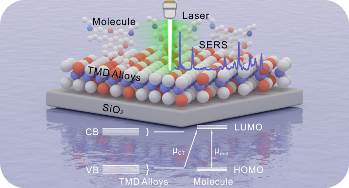 【DFT+實驗】基于合金工程的連續(xù)能級調(diào)控：按需定制二維半導體SERS基底