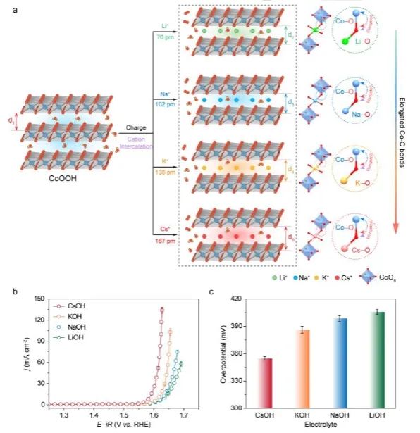 ?武漢大學(xué)Angew：有效提升CoOOH催化OER性能，電解質(zhì)陽離子功不可沒！