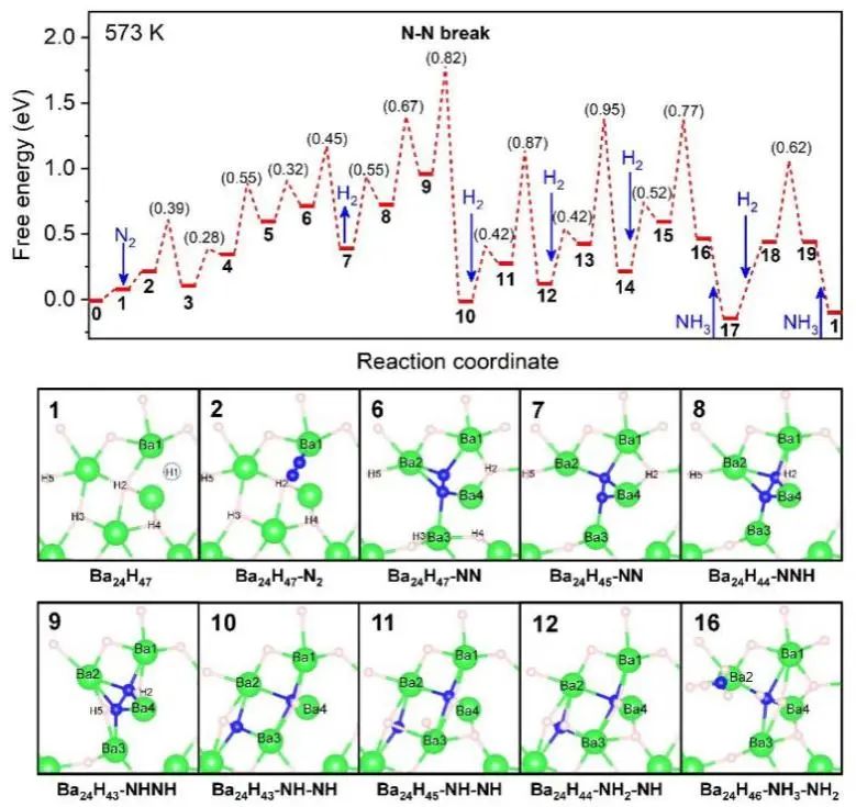 Angew.: 無(wú)過(guò)渡金屬催化劑亦有高性能！BaH2實(shí)現(xiàn)高效固氮和氨合成