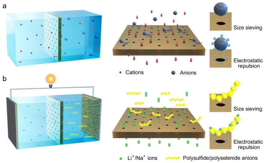 汪國秀/朱俊武Nat. Commun.：堿金屬電池中陰陽離子遷移的原子尺度調(diào)節(jié)