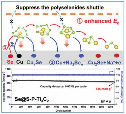 周葦AM：硫修飾多孔Ti3C2-MXene結(jié)合原位形成的Cu2Se有效抑制Na-Se電池穿梭效應(yīng)