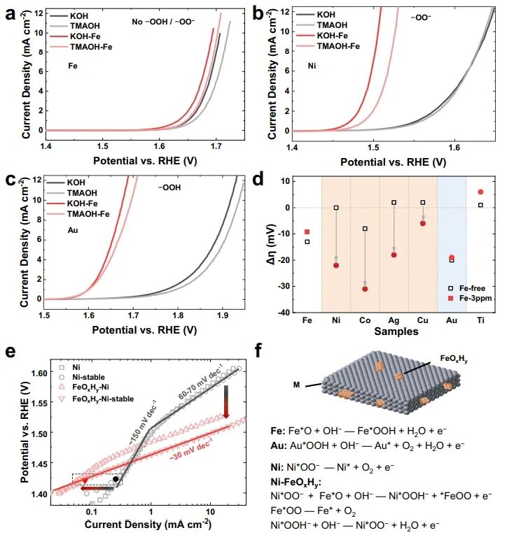 Nature子刊：剖幽析微！活性氧介導(dǎo)金屬氫氧化物上鐵促進電催化析氧反應(yīng)