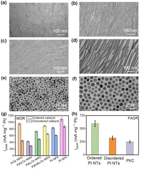 【催化】中科大俞書宏等JACS：定向微電場助力有序納米結(jié)構(gòu)催化劑提高電催化性能