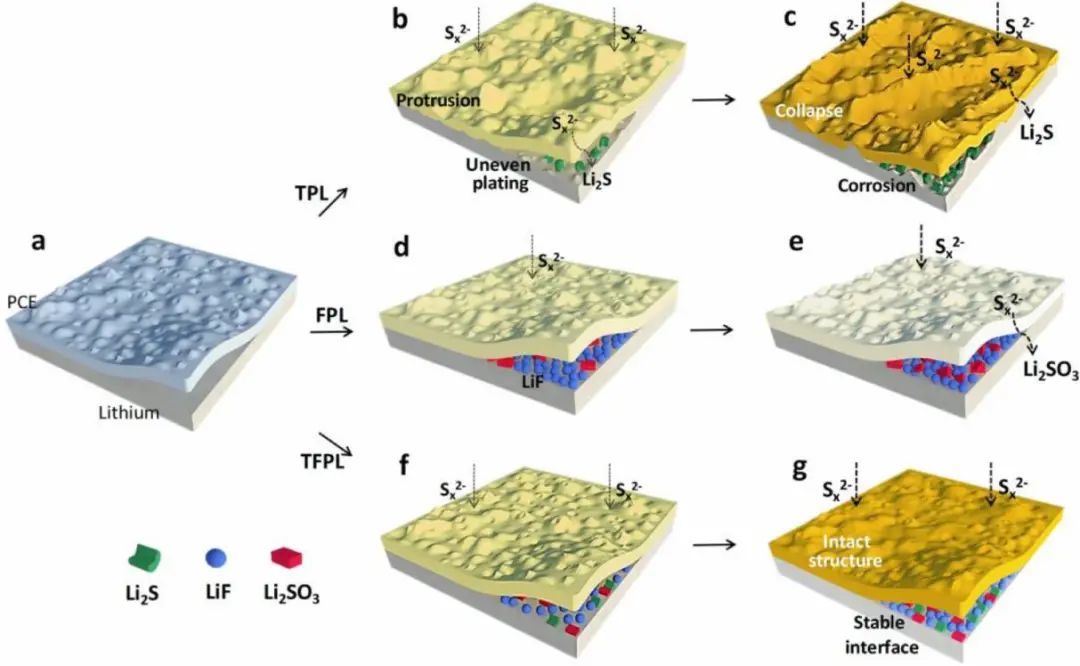 文銳EnSM: 全固態(tài)鋰硫電池陰離子可調(diào)界面穩(wěn)定性的演化過程和降解機制