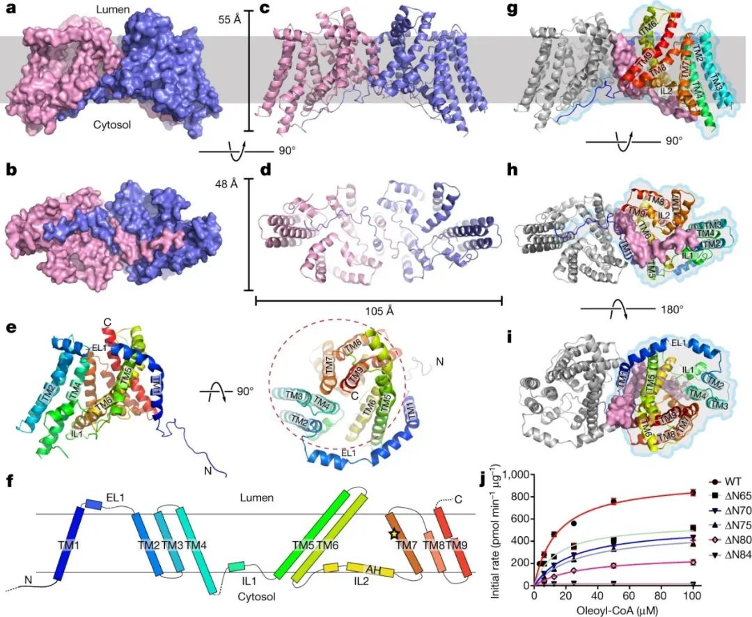 霸氣，繼Science背靠背，顏寧又兩篇Nature背靠背，爭取Cell背靠背……