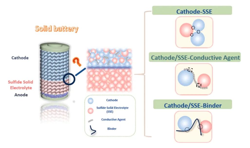 上交莊小東/朱金輝EnSM：硫化物基全固態(tài)鋰電池中的正極界面