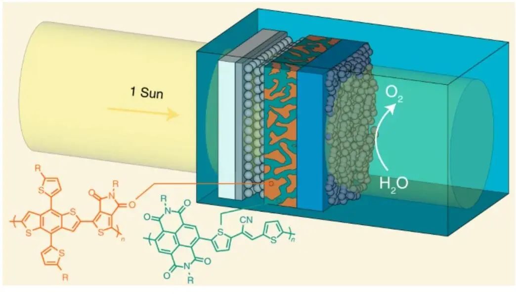 水氧化頂刊：Nat. Catal./EES/ACS Energy Lett./ACS Catal.