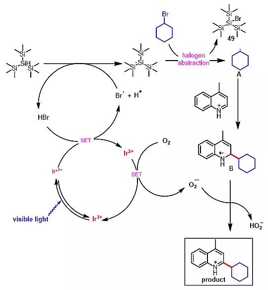 南開汪清民Chem. Sci.封面：光催化非活化鹵代烷烴Minisci C-H鍵烷基化