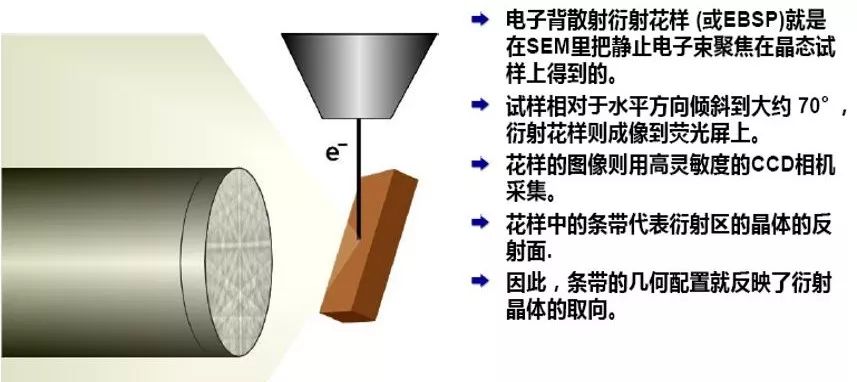 秒懂干貨丨EBSD的工作原理、結(jié)構(gòu)、操作及分析