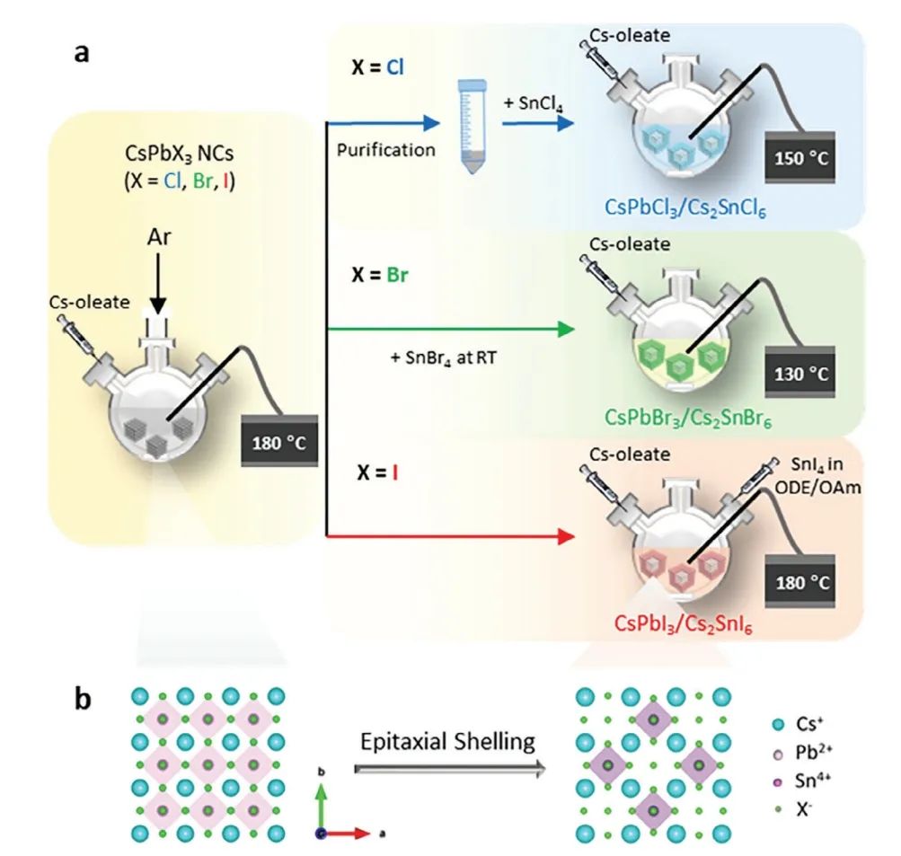?AFM：無(wú)鉛雙鈣鈦礦殼外延生長(zhǎng) CsPbX3/Cs2SnX6核/殼鈣鈦礦納米晶體具有增強(qiáng)的光電性能和穩(wěn)定性