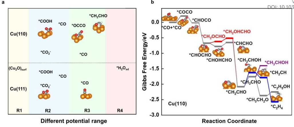 ?李劍鋒/董金超EES：原位拉曼光譜揭示Cu單晶表面CO2電還原反應(yīng)過程