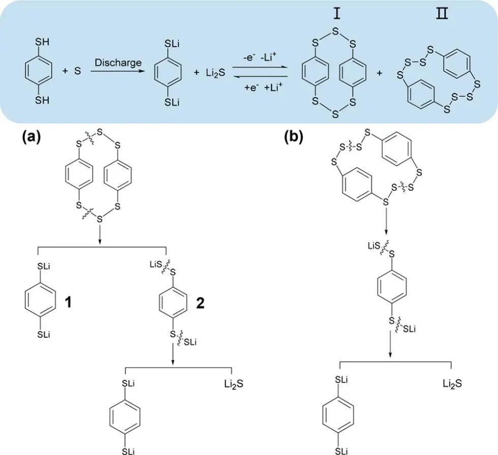 鄭大付永柱/郭瑋JACS: 用于改善可充電鋰硫電池界面化學(xué)的異構(gòu)有機(jī)二硫醇添加劑